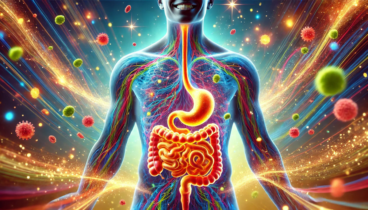 Illustration of the digestive tract and enzymes