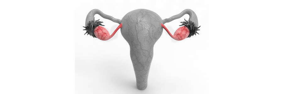 Supplements for Ovary Support