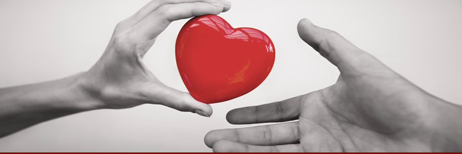 The truth about organ donation